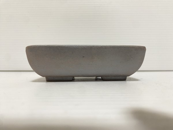 画像2: No.DA5458 黎鳳 (2)