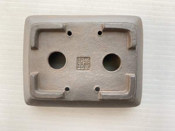 画像4: No.DA5458 黎鳳 (4)