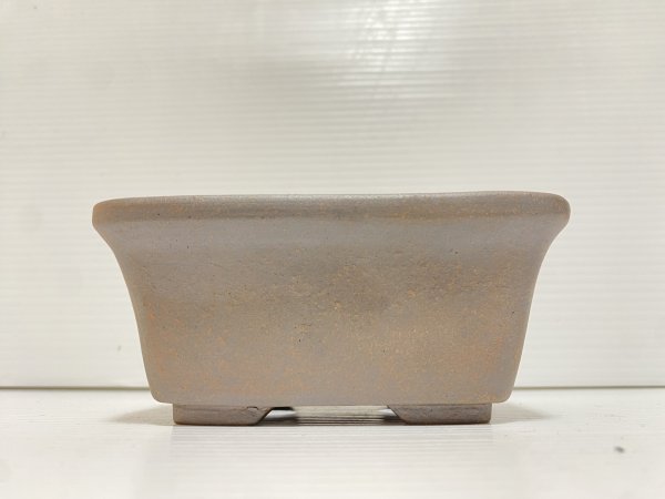 画像2: No.DA5459 黎鳳 (2)