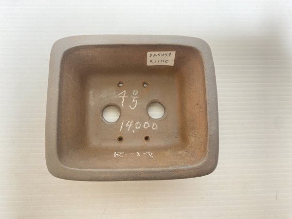 画像3: No.DA5459 黎鳳 (3)