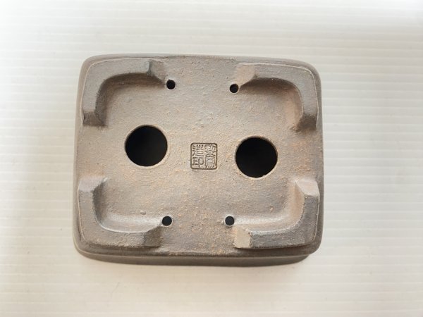 画像4: No.DA5459 黎鳳 (4)