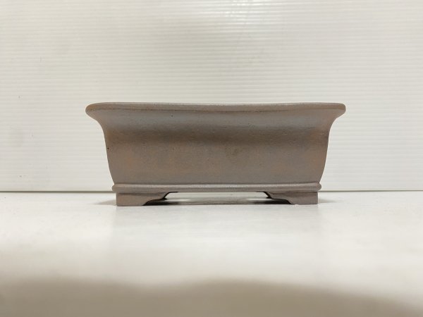 画像2: No.DA5460 黎鳳 (2)