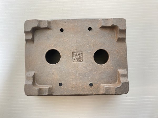 画像4: No.DA5460 黎鳳 (4)