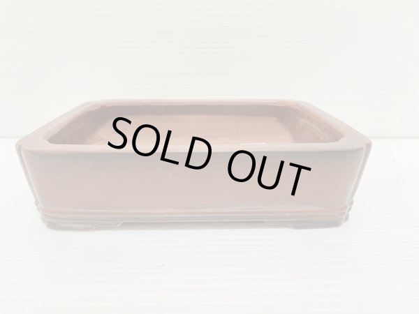 画像1: No.DA5461 美芸 (1)