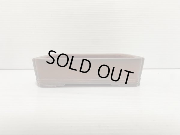 画像2: No.DA5461 美芸 (2)