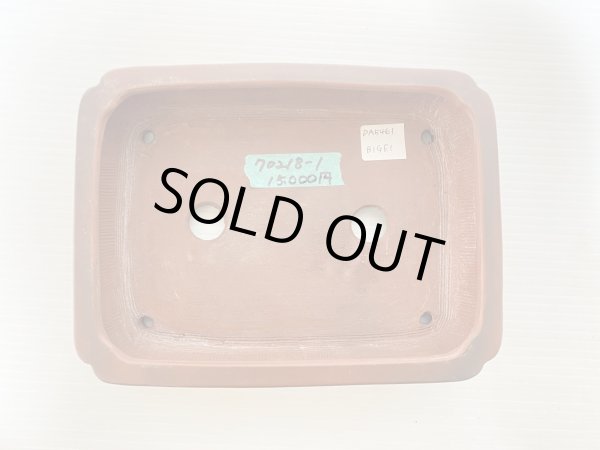 画像3: No.DA5461 美芸 (3)