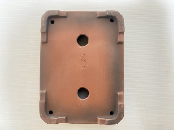 画像4: No.DA5461 美芸 (4)