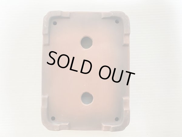 画像4: No.DA5461 美芸 (4)