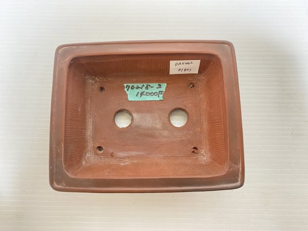 画像3: No.DA5462 美芸 (3)