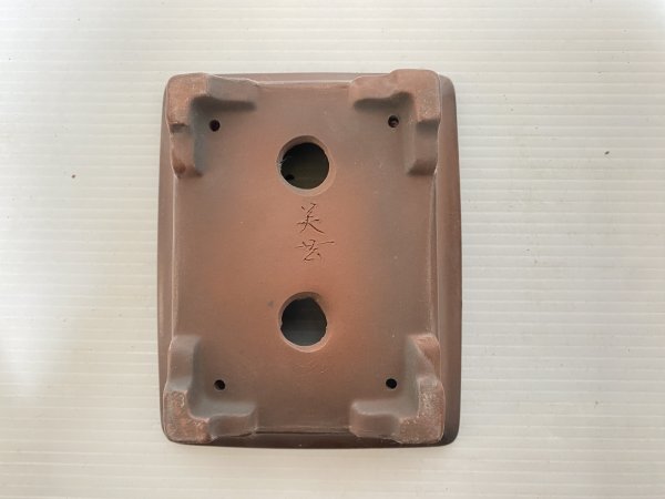 画像4: No.DA5462 美芸 (4)