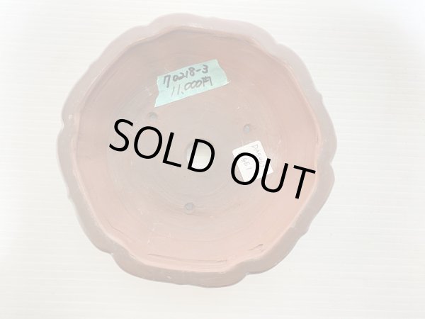 画像3: No.DA5463 美芸 (3)