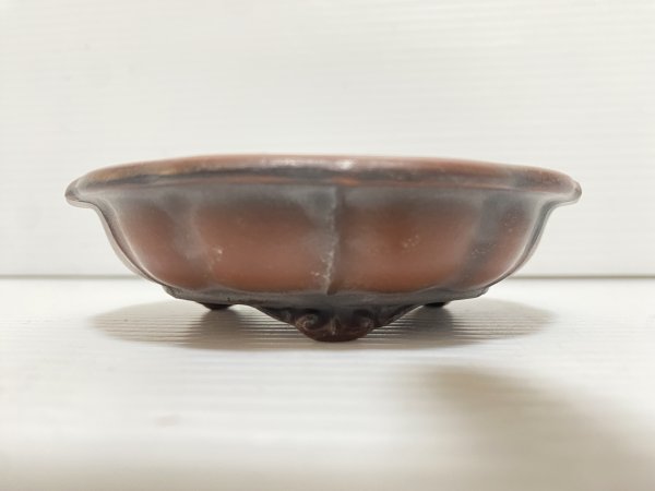 画像2: No.DA5464 美芸 (2)