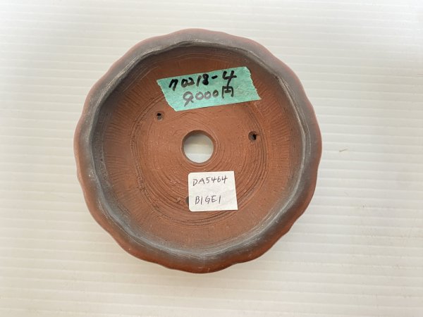 画像3: No.DA5464 美芸 (3)