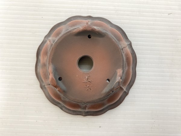 画像4: No.DA5464 美芸 (4)