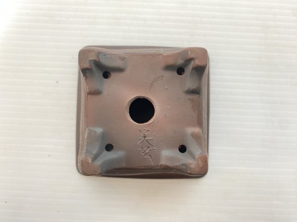 画像4: No.DA5466 美芸 (4)