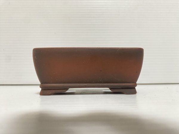 画像2: No.DA5467 美芸 (2)