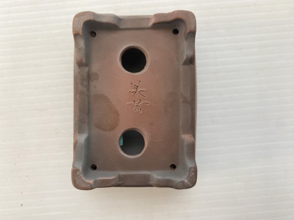 画像4: No.DA5467 美芸 (4)