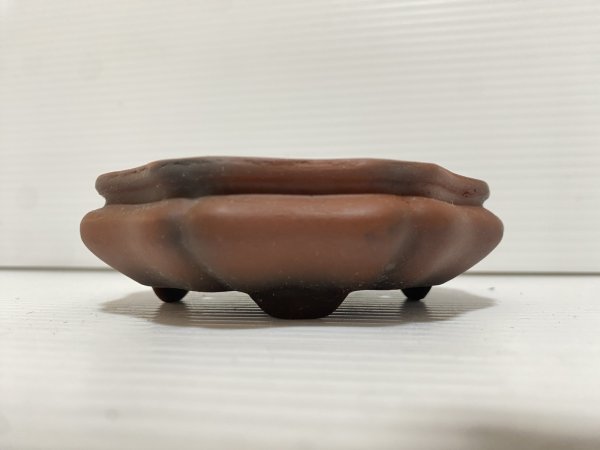 画像2: No.DA5469 美芸 (2)