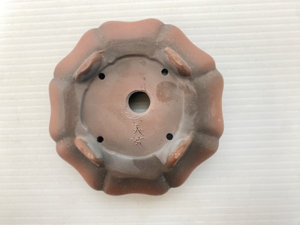 画像4: No.DA5469 美芸 (4)