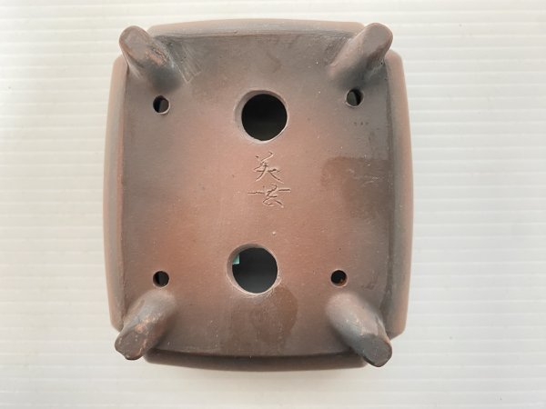 画像4: No.DA5470 美芸 (4)