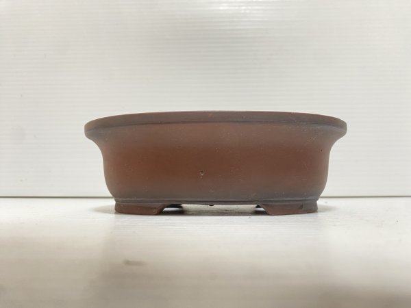 画像2: No.DA5471 美芸 (2)