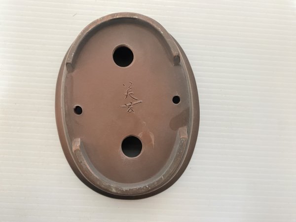 画像4: No.DA5471 美芸 (4)