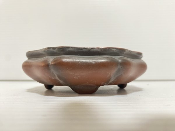 画像2: No.DA5473 美芸 (2)