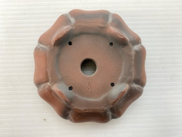 画像4: No.DA5473 美芸 (4)