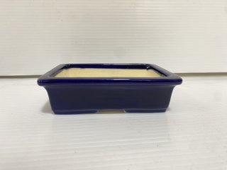 山房（常滑）　盆栽鉢 bh23051607_3.jpg