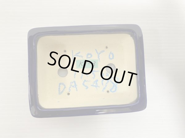 画像3: No.DA5478 鴻陽 (3)