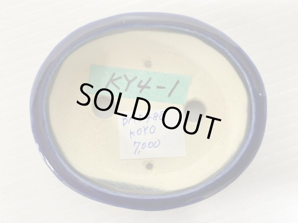 画像3: No.DA5480 鴻陽 (3)