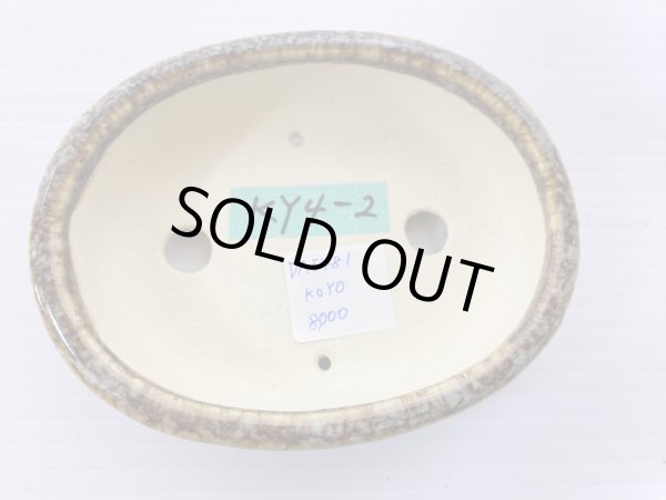 画像3: No.DA5481 鴻陽 (3)