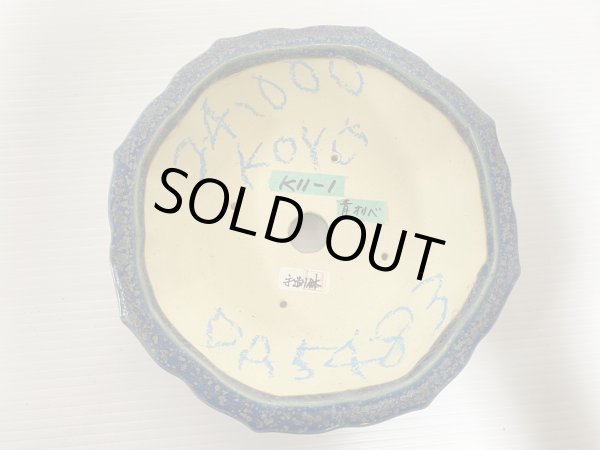 画像3: No.DA5483 鴻陽 (3)