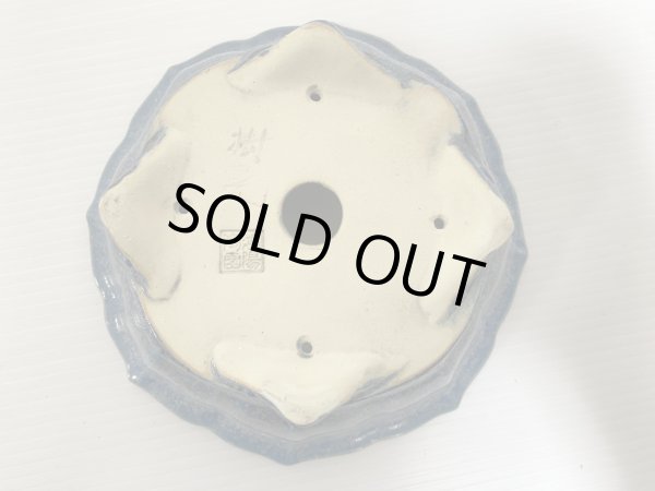 画像4: No.DA5483 鴻陽 (4)