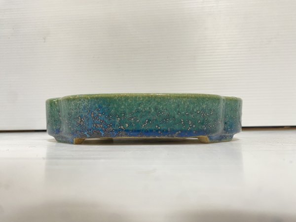 画像2: No.DA5489 鴻陽 (2)