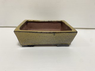 盆栽鉢　ミニ盆栽鉢　山秋　常滑焼 常滑盆栽鉢 山秋造 #Yamaaki02