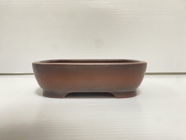 画像2: No.DA54111 美芸 (2)