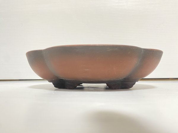 画像2: No.DA54112 美芸 (2)