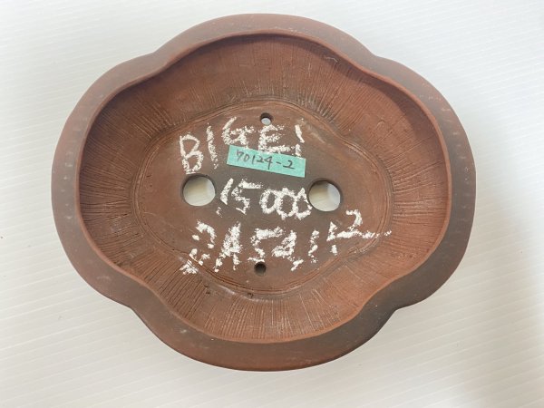 画像3: No.DA54112 美芸 (3)