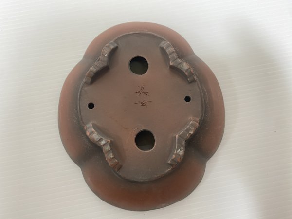 画像4: No.DA54112 美芸 (4)