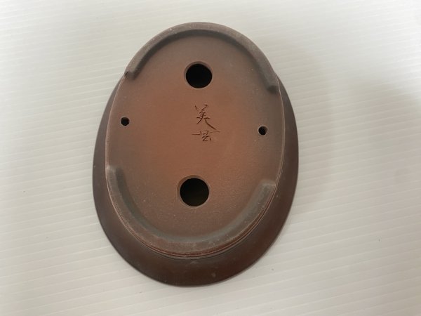 画像4: No.DA54113 美芸 (4)