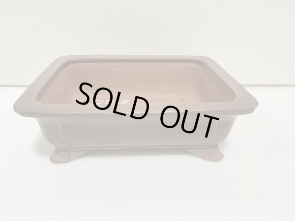 画像1: No.DA54115 美芸 (1)