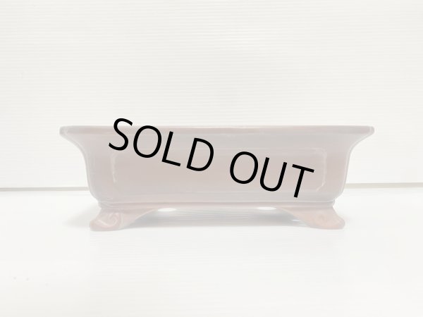 画像2: No.DA54115 美芸 (2)