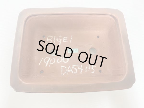 画像3: No.DA54115 美芸 (3)