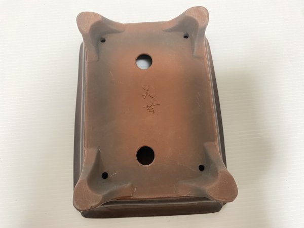 画像4: No.DA54115 美芸 (4)