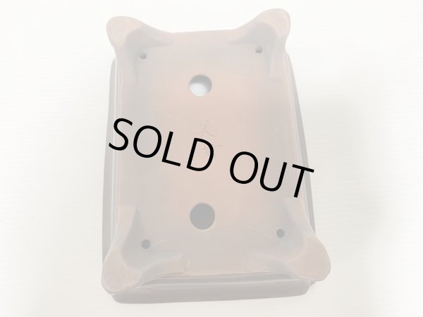 画像4: No.DA54115 美芸 (4)