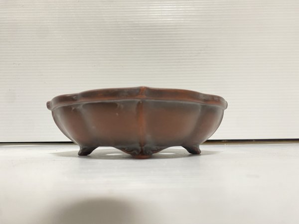 画像2: No.DA54117 美芸 (2)