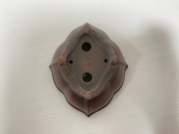 画像4: No.DA54117 美芸 (4)