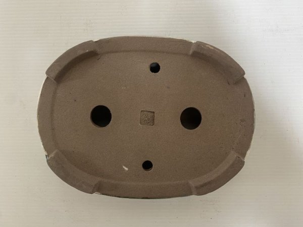 画像5: DA4805  陶翠 (5)