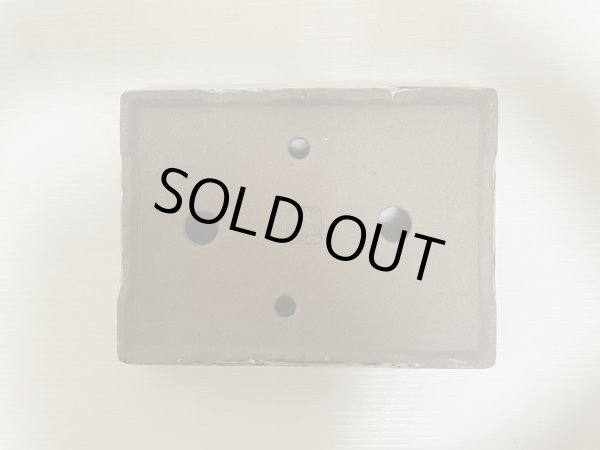 画像5: DA4809  陶翠 (5)